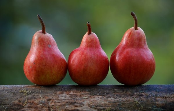 Les aliments efficaces contre le cholestérol